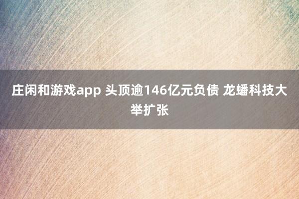 莊閑和游戲app 頭頂逾146億元負(fù)債 龍蟠科技大舉擴張