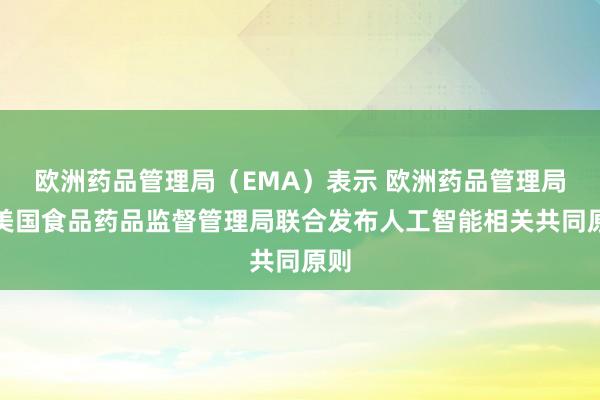 歐洲藥品管理局（EMA）表示 歐洲藥品管理局與美國食品藥品監督管理局聯合發布人工智能相關共同原則