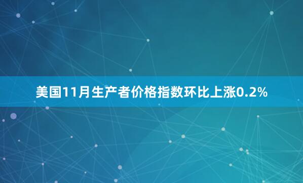 美國(guó)11月生產(chǎn)者價(jià)格指數(shù)環(huán)比上漲0.2%