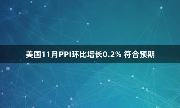 美國11月PPI環(huán)比增長0.2% 符合預期