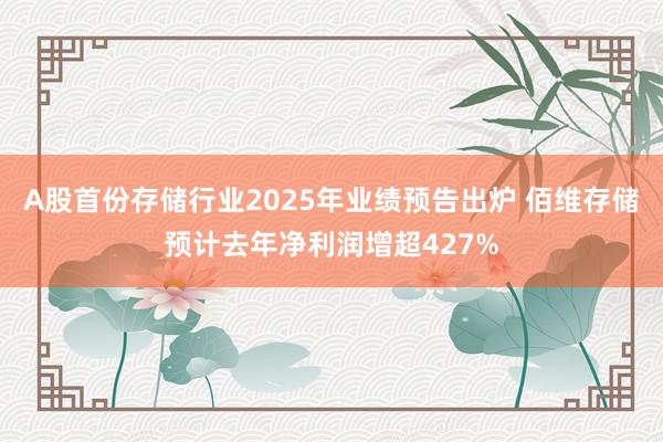 A股首份存儲行業2025年業績預告出爐 佰維存儲預計去年凈利潤增超427%