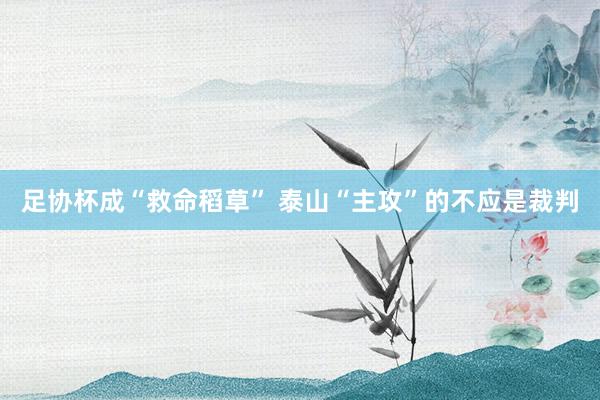 足協杯成“救命稻草” 泰山“主攻”的不應是裁判