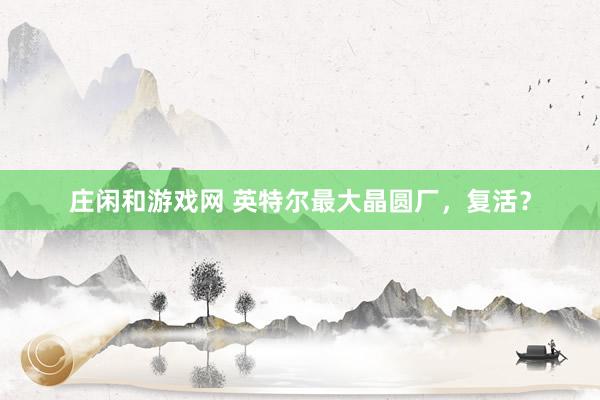 莊閑和游戲網(wǎng) 英特爾最大晶圓廠,復(fù)活?